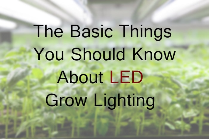 LED Grow Lighting