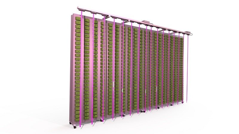 LED vertical farming